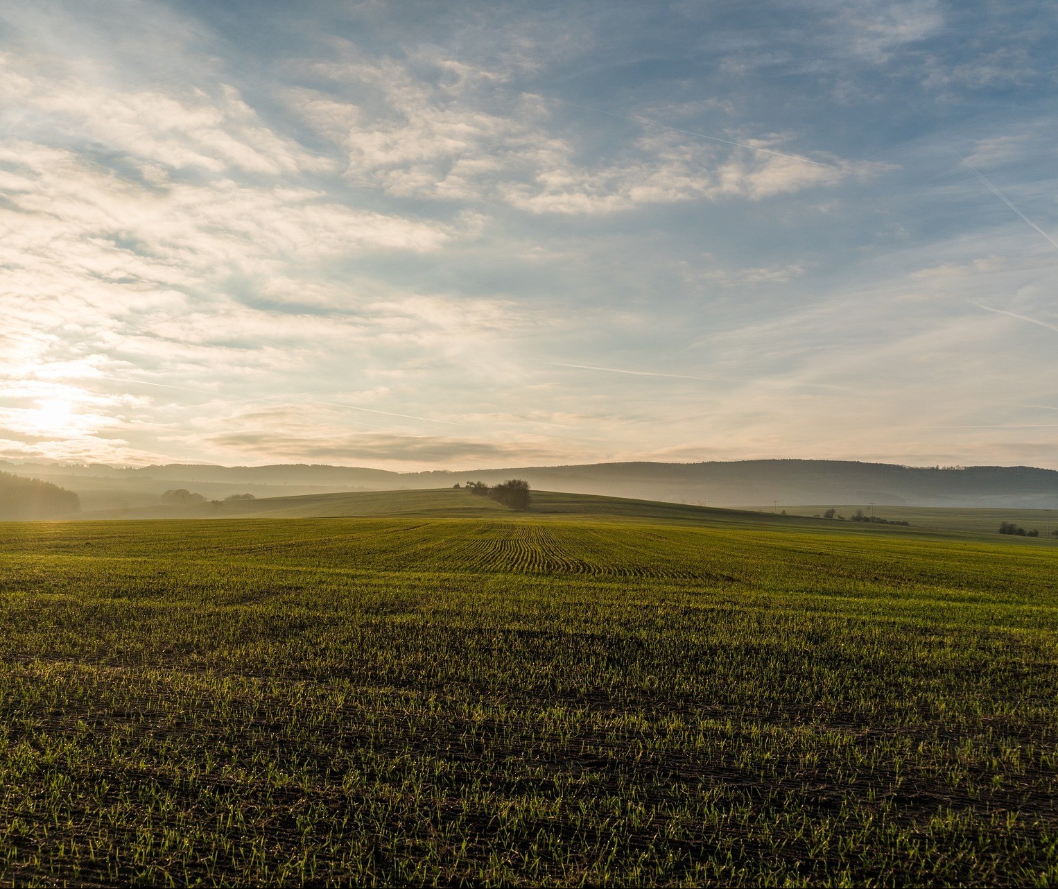 Paraná tem maior área com potencialidade agrícola