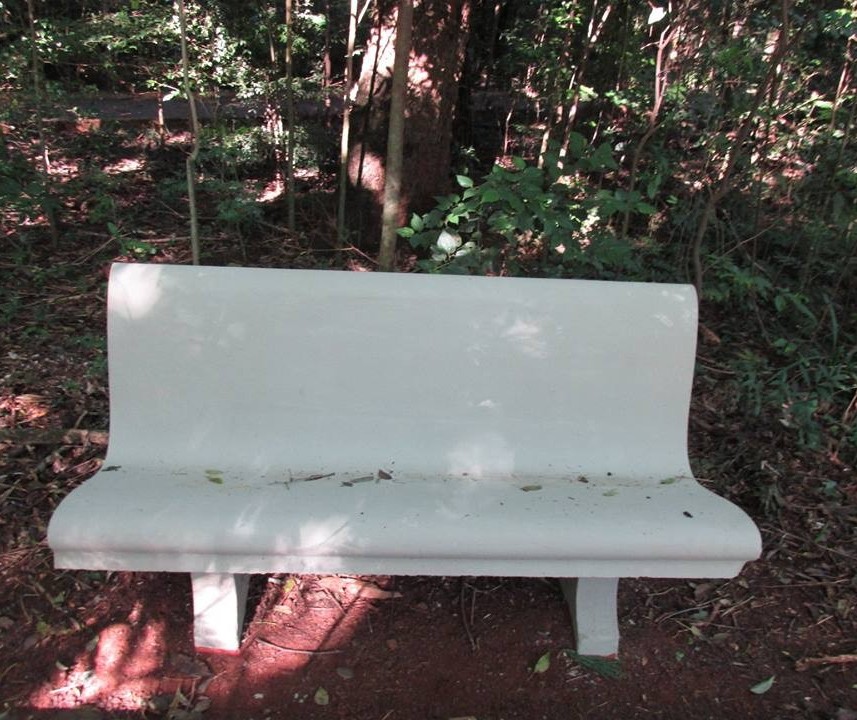 Pintura em obras do Parque do Ingá gera desconforto entre artista e poder público