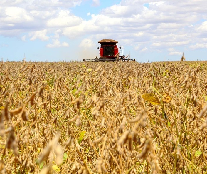 Agro lidera criação de empregos em 2020, aponta CNA