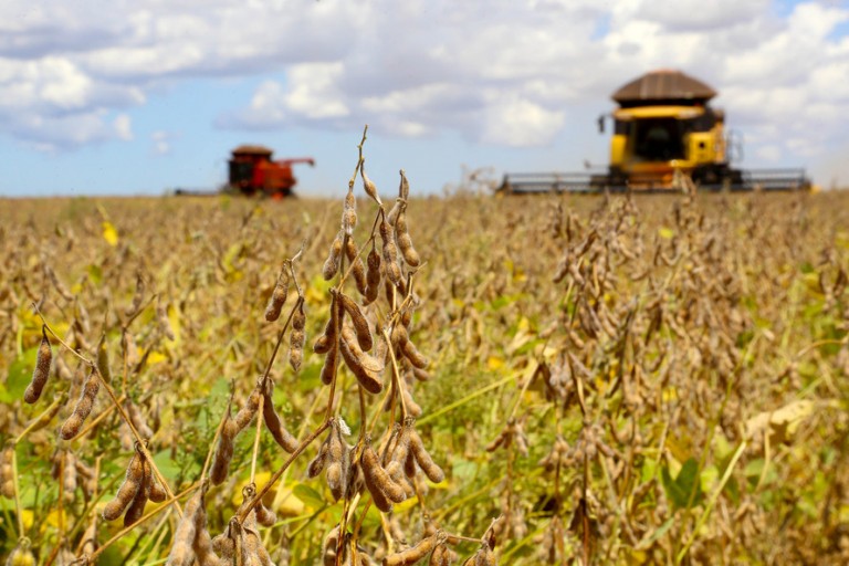 Consultoria reduz estimativa de produção de soja da safra 2020/2021