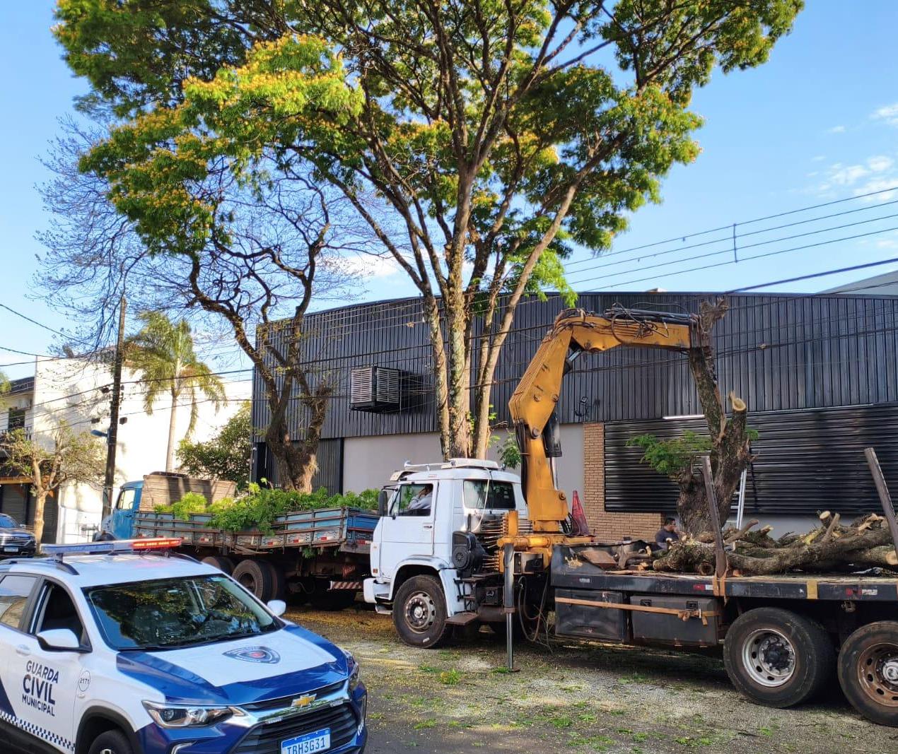 Guarda Municipal prende homens por crime ambiental e recupera placas de bronze