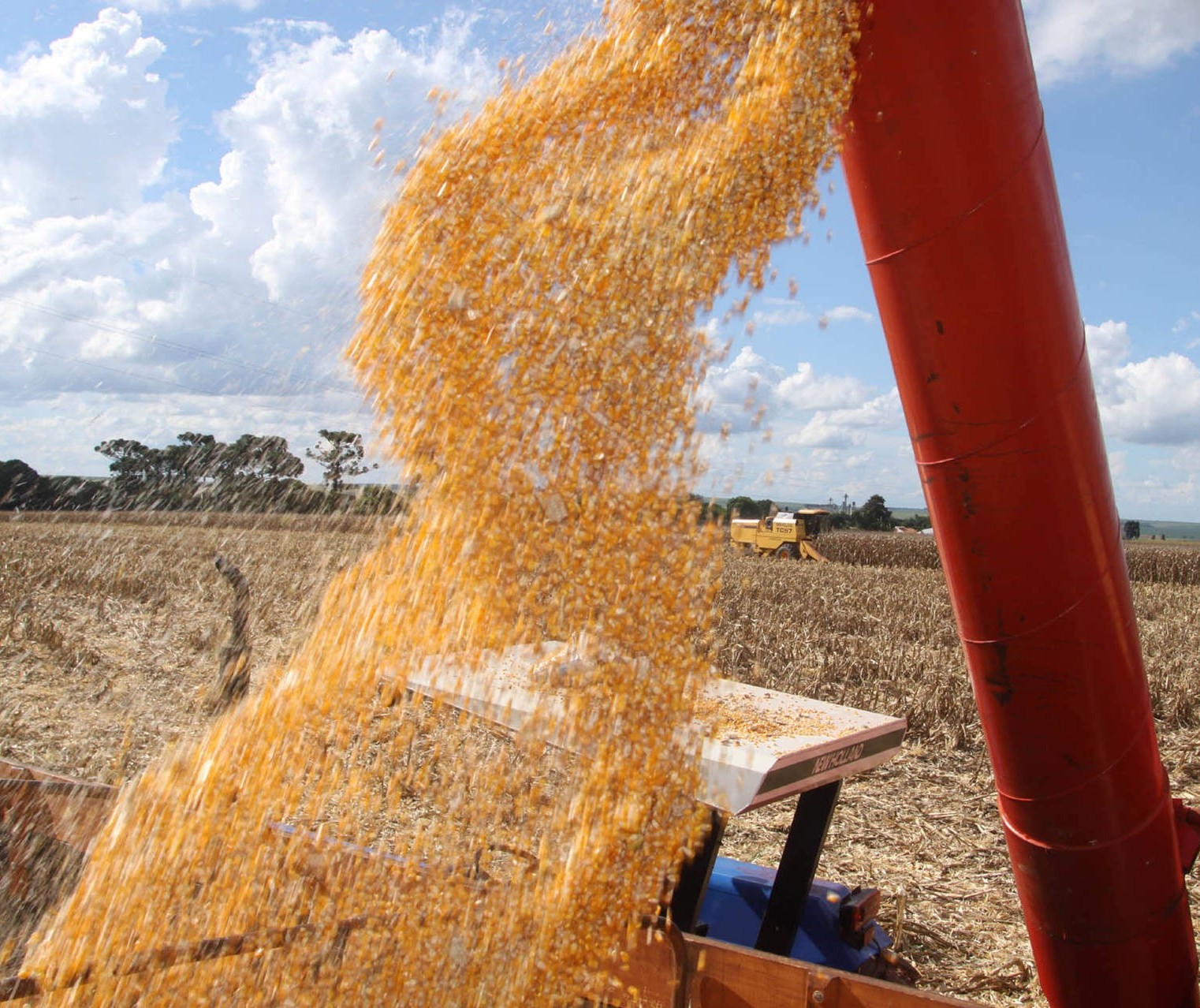 PR: Safra de grãos 2018/19 está sendo encerrada com total estimado de 36,3 mi de toneladas 