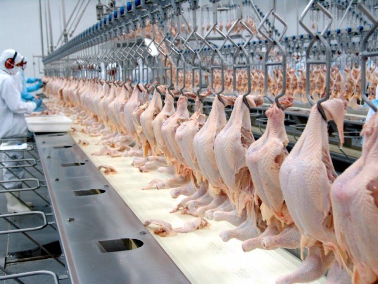 Aumento no preço da carne de frango chega ao consumidor