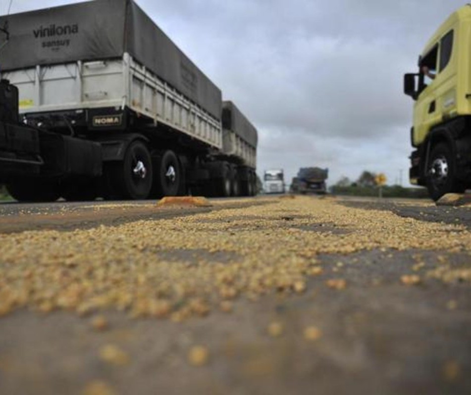 Das rodovias até os portos, Brasil perde 0,17% do trigo