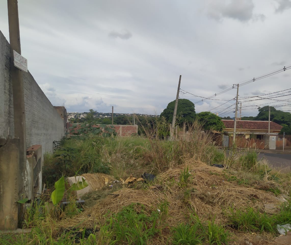Ouvinte reclama de mato alto em terreno da Prefeitura de Maringá