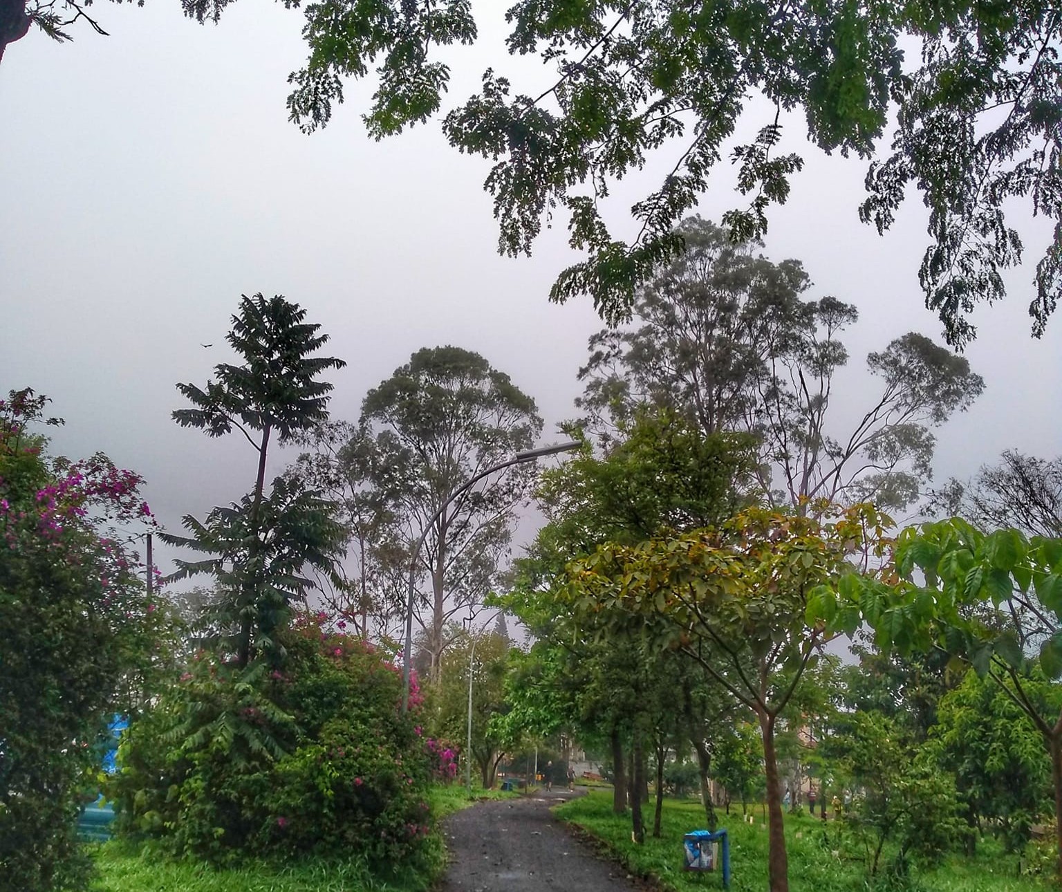 Em Maringá, semana começa com previsão de chuva e temperaturas amenas
