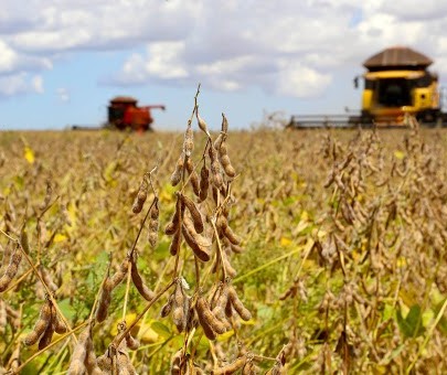 Produção de grãos na safra 2020/21 deve ser recorde de 268,67 milhões de toneladas