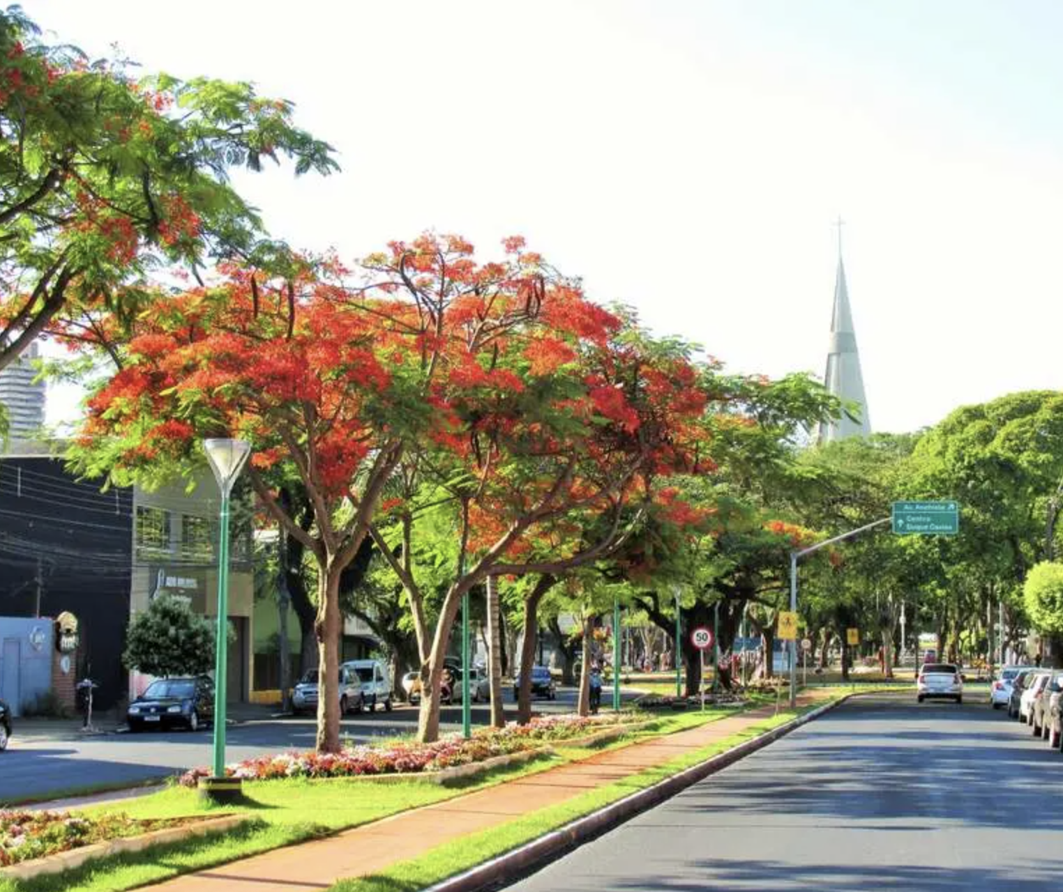 Verão começa com calor e instabilidade no Paraná