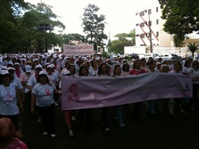 Milhares de pessoas participam da caminhada contra o câncer de mama em Maringá