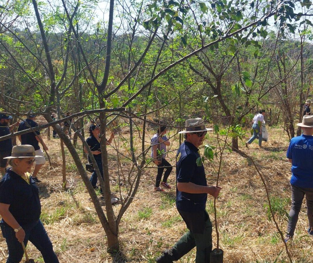 Voluntários plantam mais de 100 árvores no Bosque da Amizade
