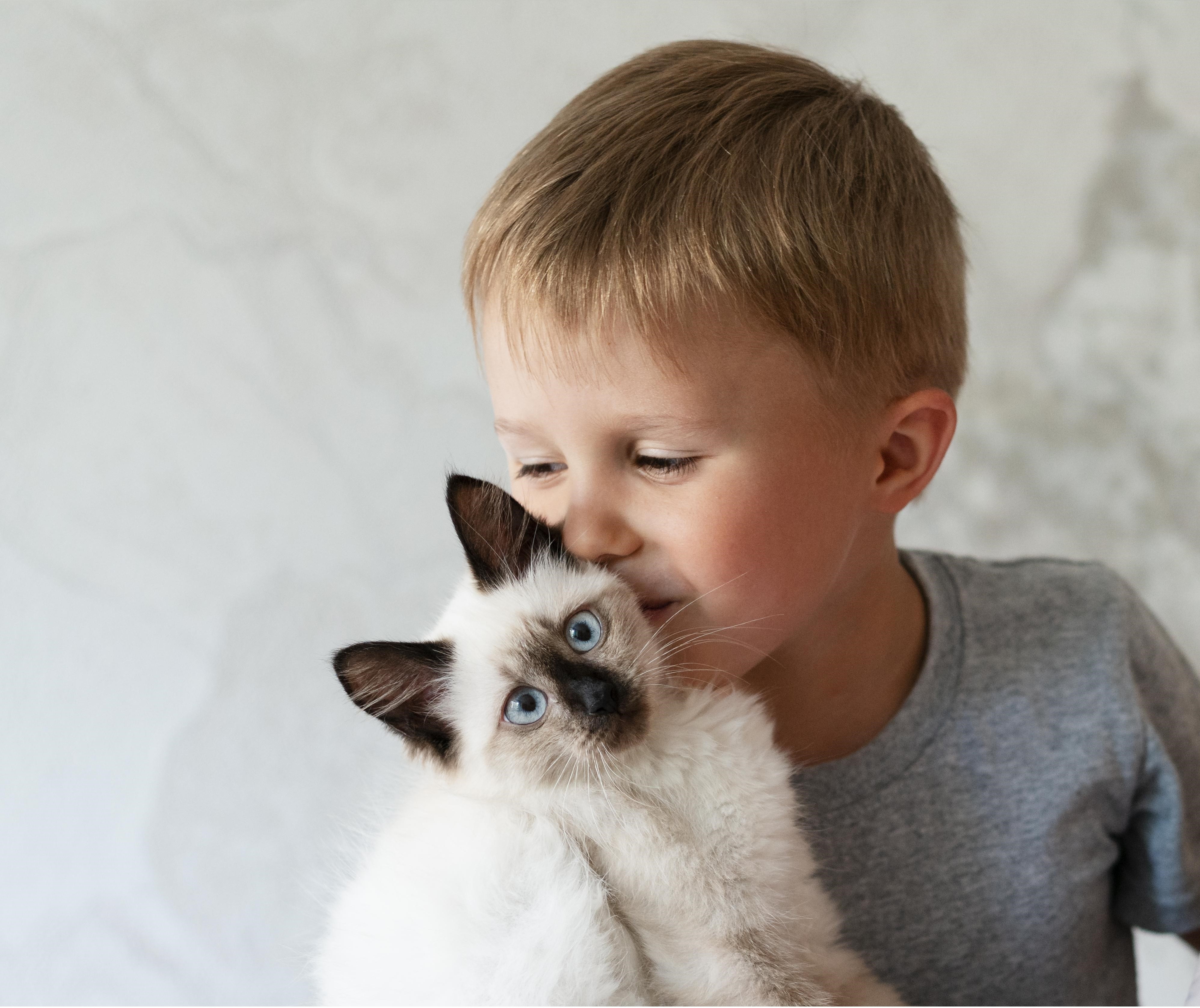 Imunoterapia é o melhor tratamento para crianças que têm alergias a pets