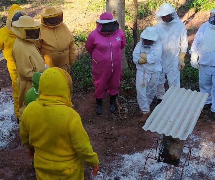 UEM desenvolve pesquisa genética com abelhas em Diamante do Norte