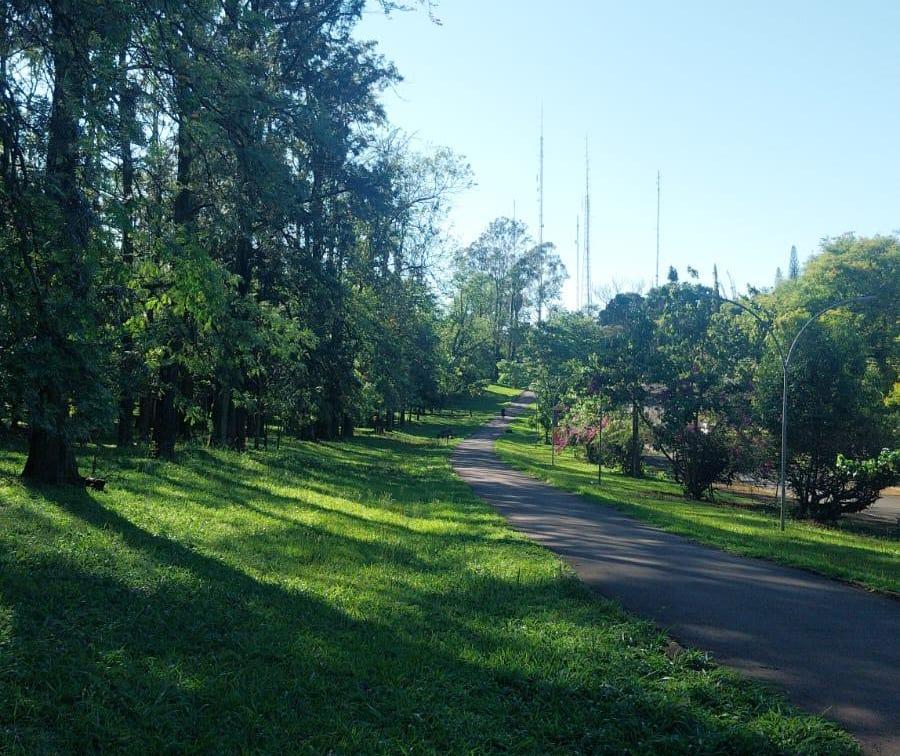 Confira a previsão do tempo para este sábado (25) em Maringá