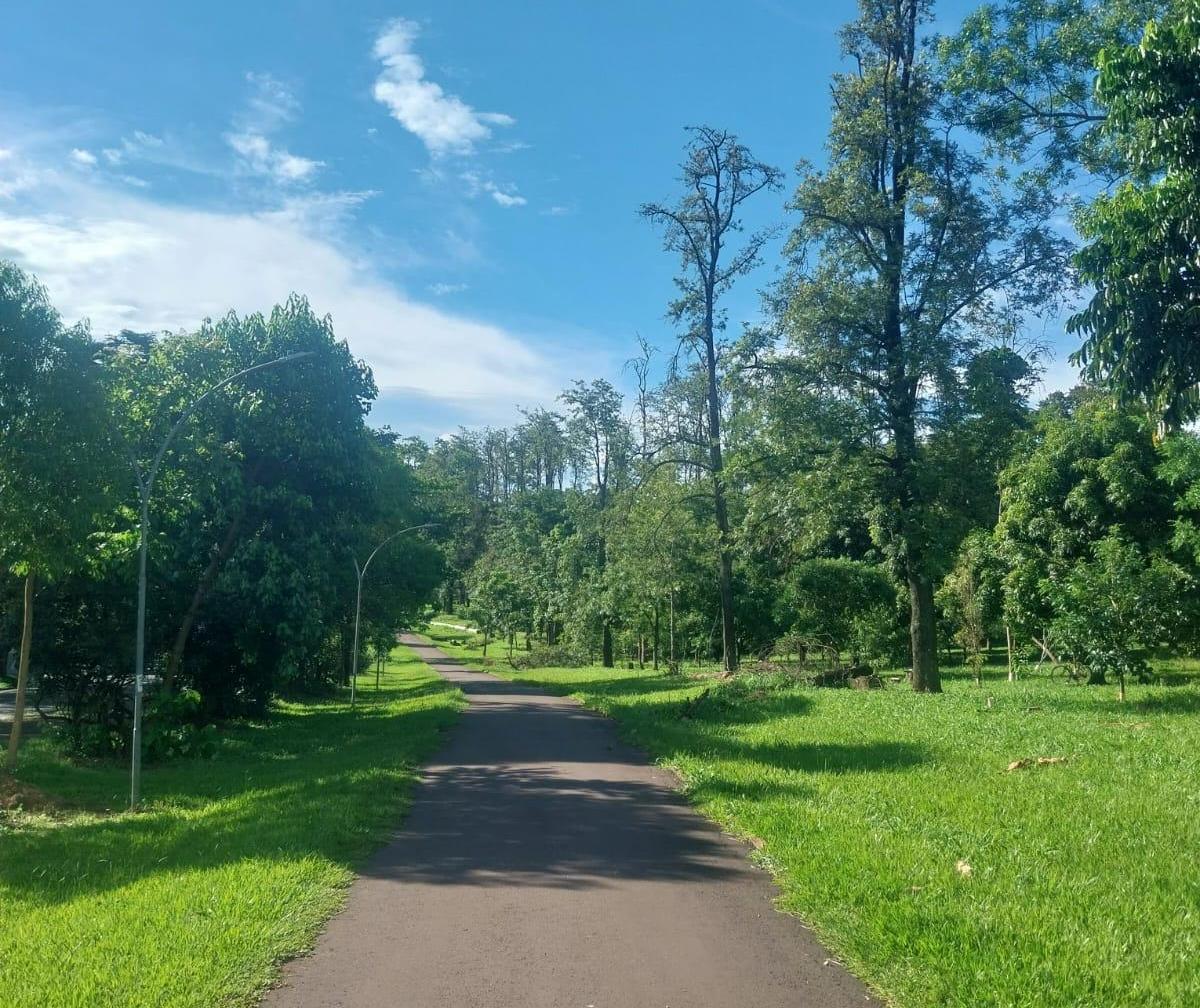 Confira a previsão do tempo para este sábado (28)