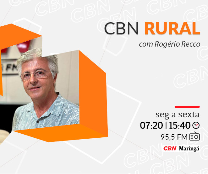 Paraná cresce no mercado da cerveja e conquista premiações