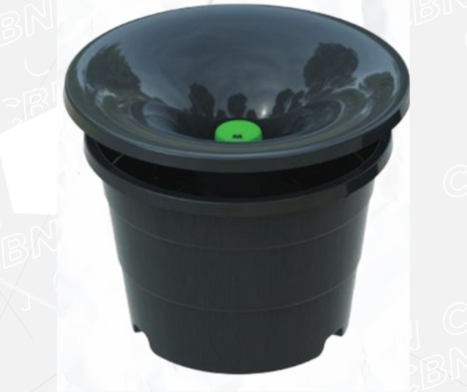 Saúde irá instalar armadilhas para Aedes aegypti em escolas e Cmeis