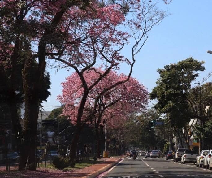 Confira a previsão do tempo para este domingo (6)