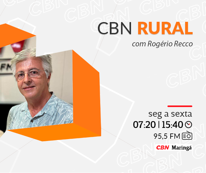 Área segurada deve cair à metade com cortes no seguro rural