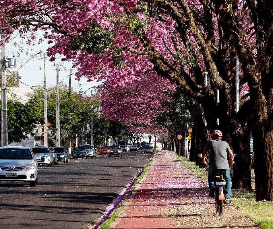 Ativista do ciclismo cobra cronograma para implantação da Zona 30