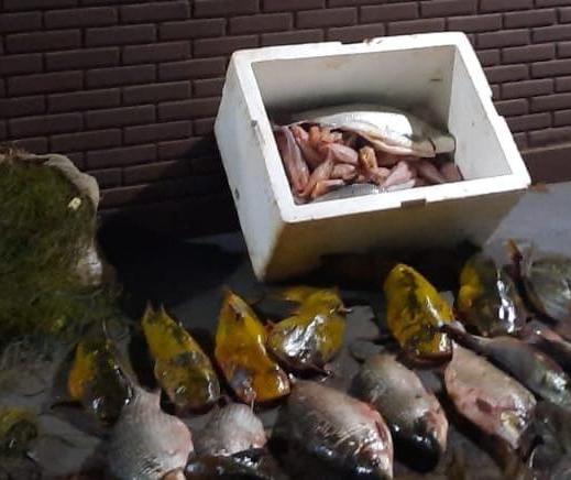 Operação flagra pesca irregular e apreende mais de 100 kg de peixes