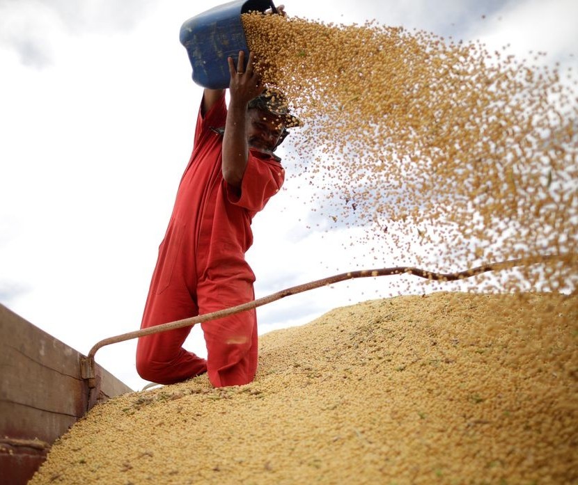 Brasil pode ter safra recorde de cereais e leguminosas