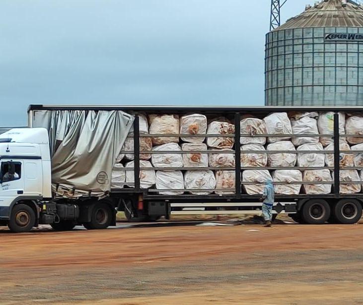 ADITA destina 1.100 toneladas de embalagens de defensivos agrícolas no 1º semestre