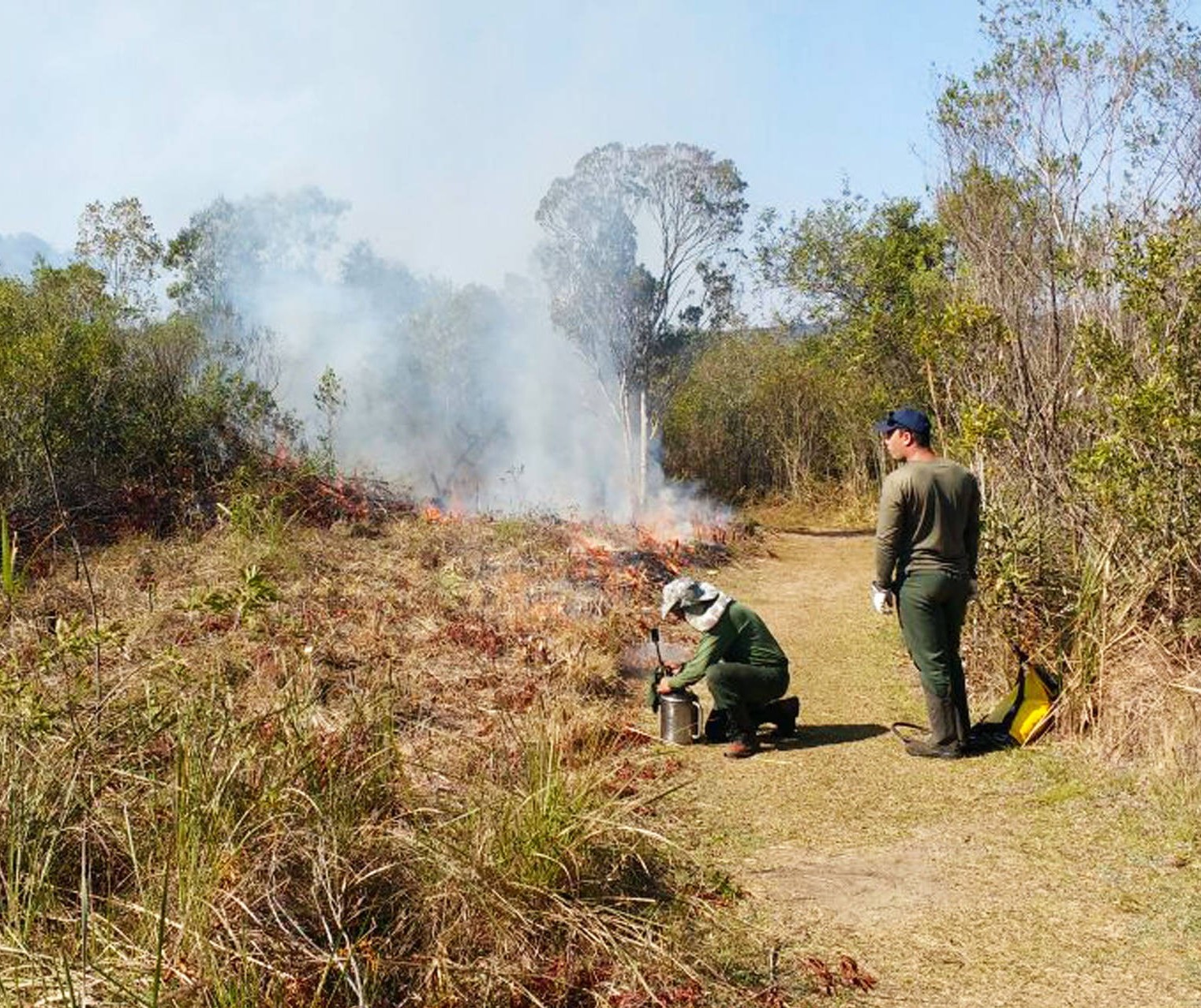 Risco de incêndios em áreas rurais coloca o Paraná em alerta