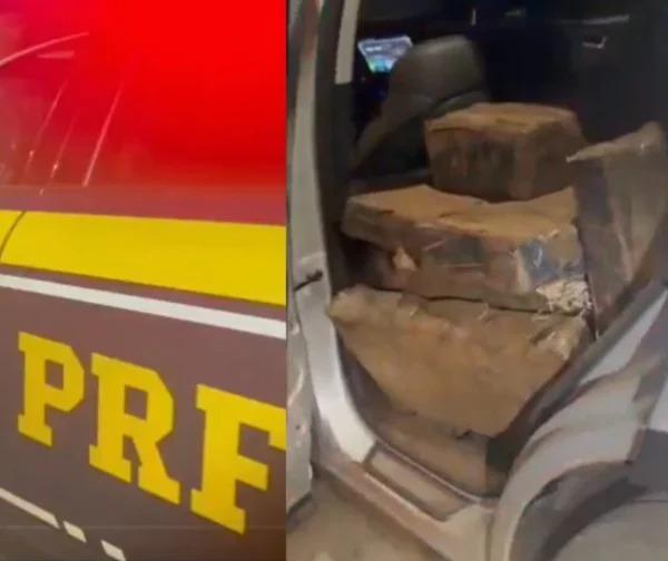PRF apreende mais de meia tonelada de maconha em Floresta
