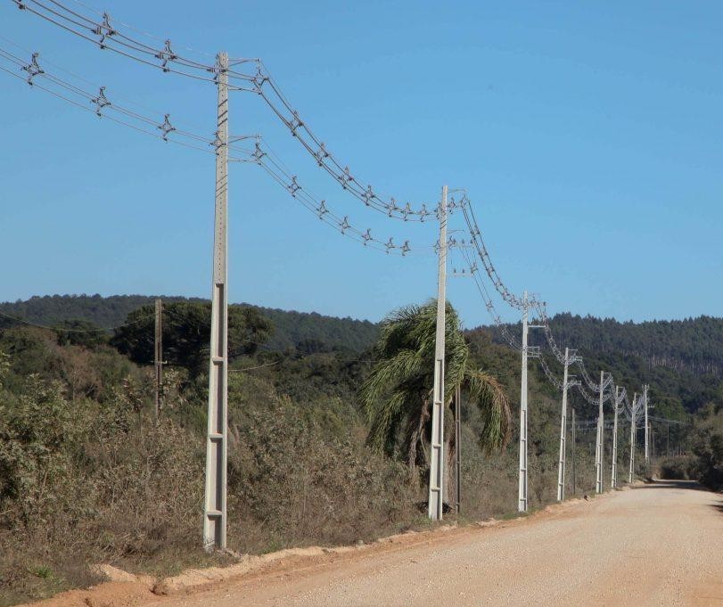 Paraná Trifásico já construiu 7.913 km de redes desde 2019