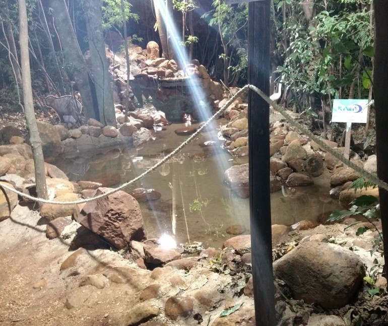 Na Fazendinha na Expoingá, "Caminho das Sensações" atrai visitantes 