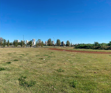Avança o processo para construção do campus do IFPR em Maringá