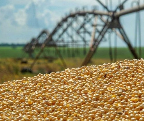 Deral estima que a produção de grãos 2018/19 deve ser 5% superior à safra anterior