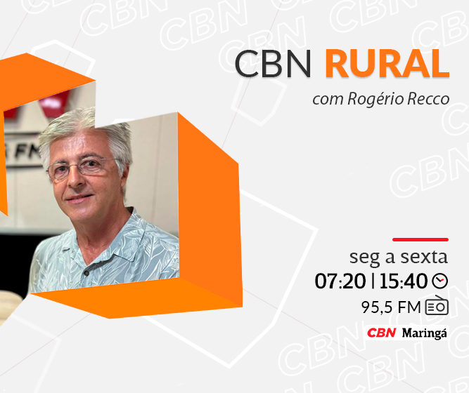 Nova nectarina da Embrapa deve reduzir importações da fruta