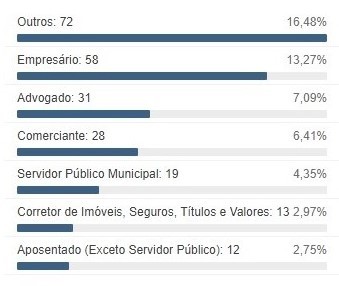 Profissões mais comuns entre os candidatos (foto: TSE)