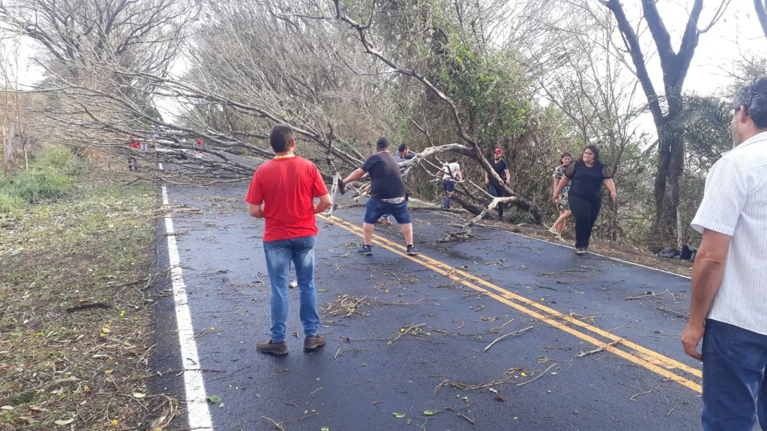 Árvore caída na rodovia em Grandes Rios – Foto: Blog do Berimbau