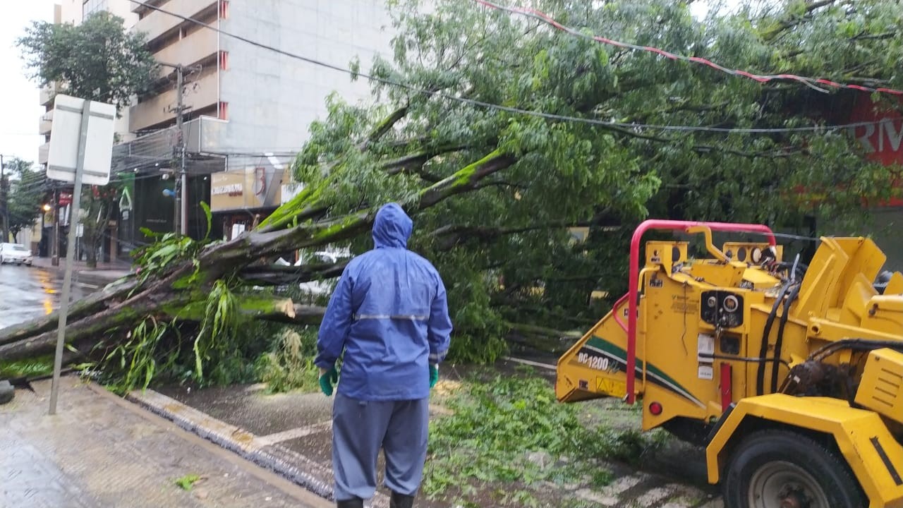 Foto: Prefeitura de Maringá 