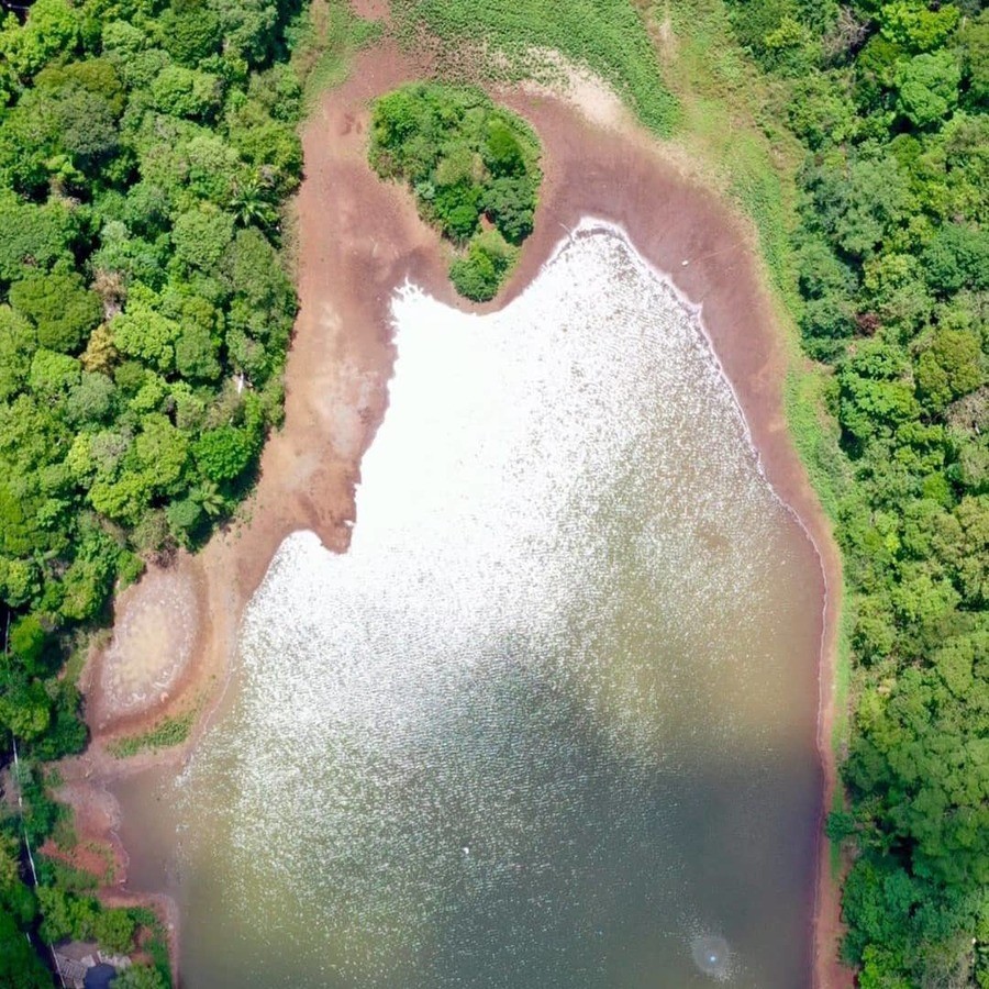 Vegetação avança sobre área que era do lago do Parque do Ingá. Foto: Thiago Louzada