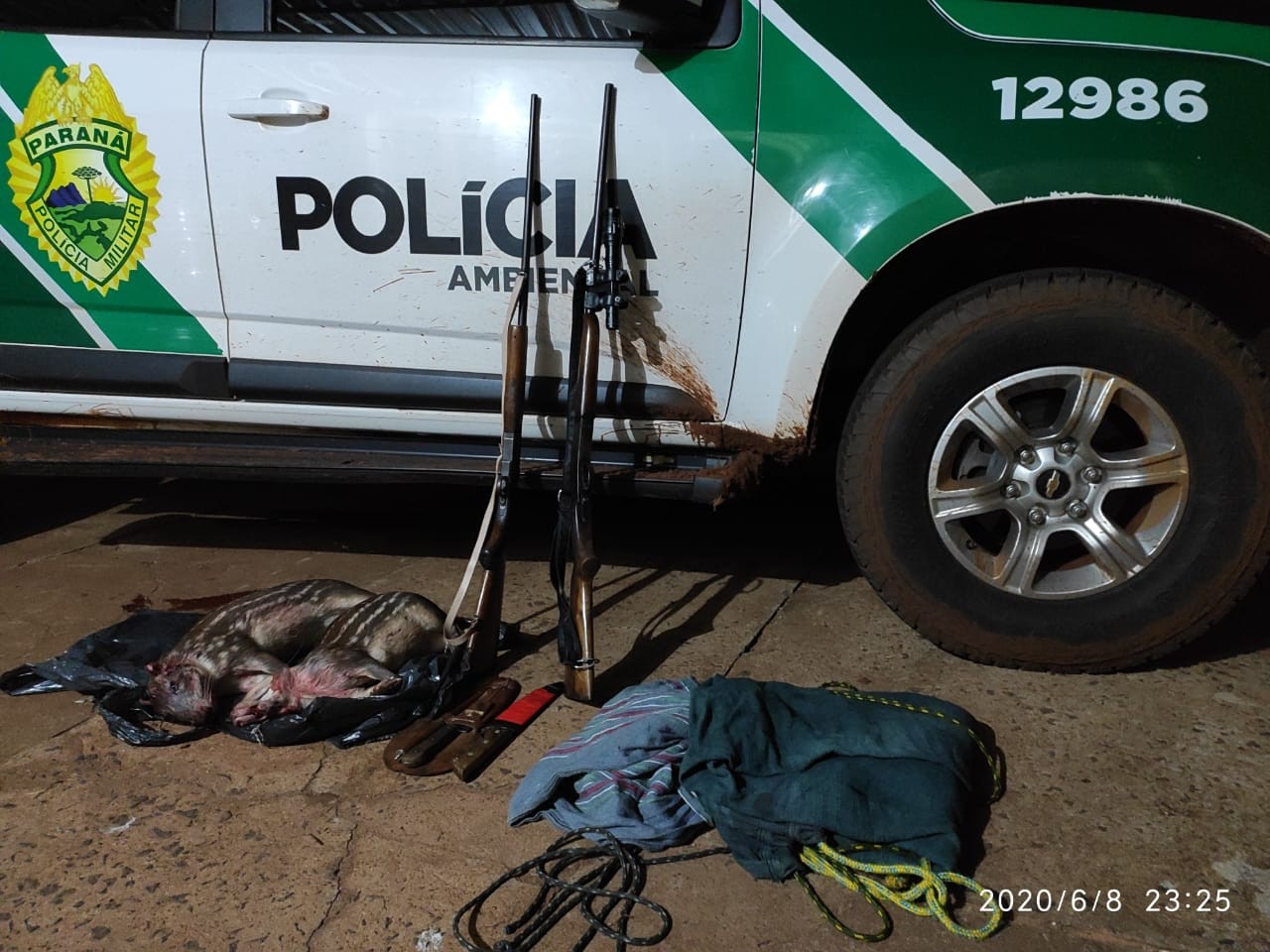 Foto: Polícia Militar Ambiental