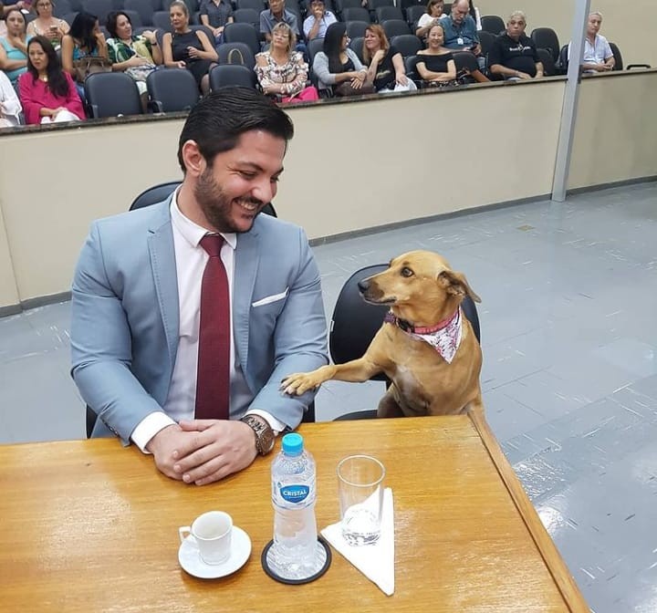 Saop ficou famosa ao acompanhar o tutor numa sessão da Câmara 