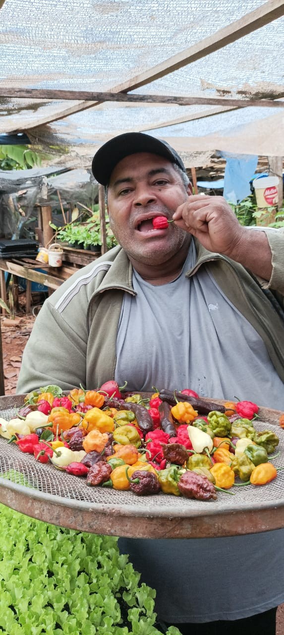 Rildo Cazé produz a pimenta mais ardida do mundo em Maringá | Foto: Ricardo Freitas