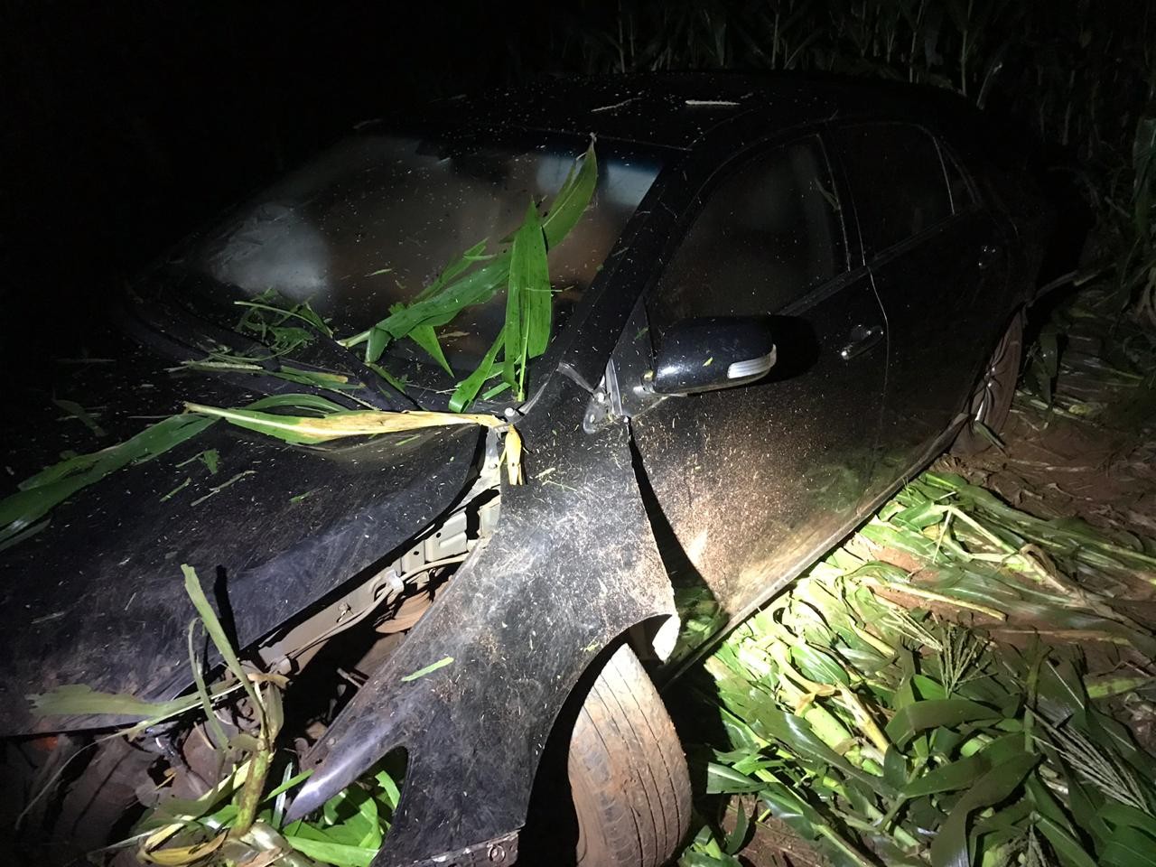 Foto: Polícia Militar Cianorte