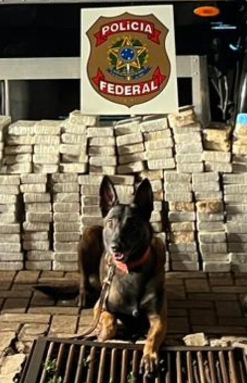 Foto: Polícia Federal