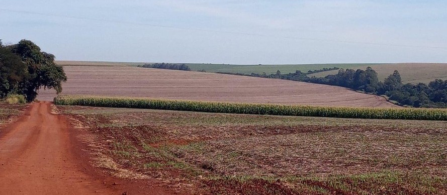 Vazio sanitário da soja começa em 10 de junho, alerta Agricultura