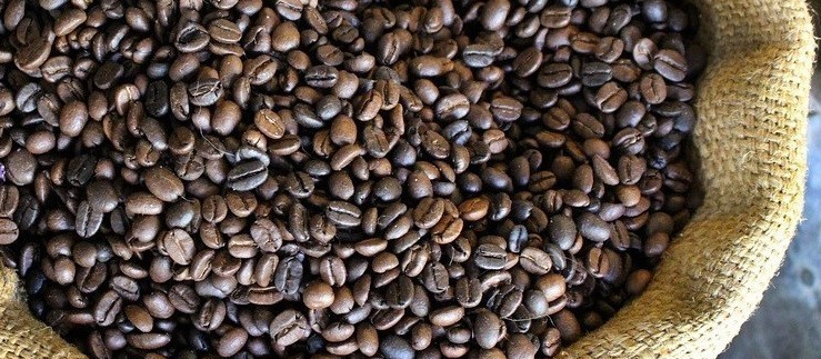 Café em coco custa R$ 6,16 o quilo em Maringá