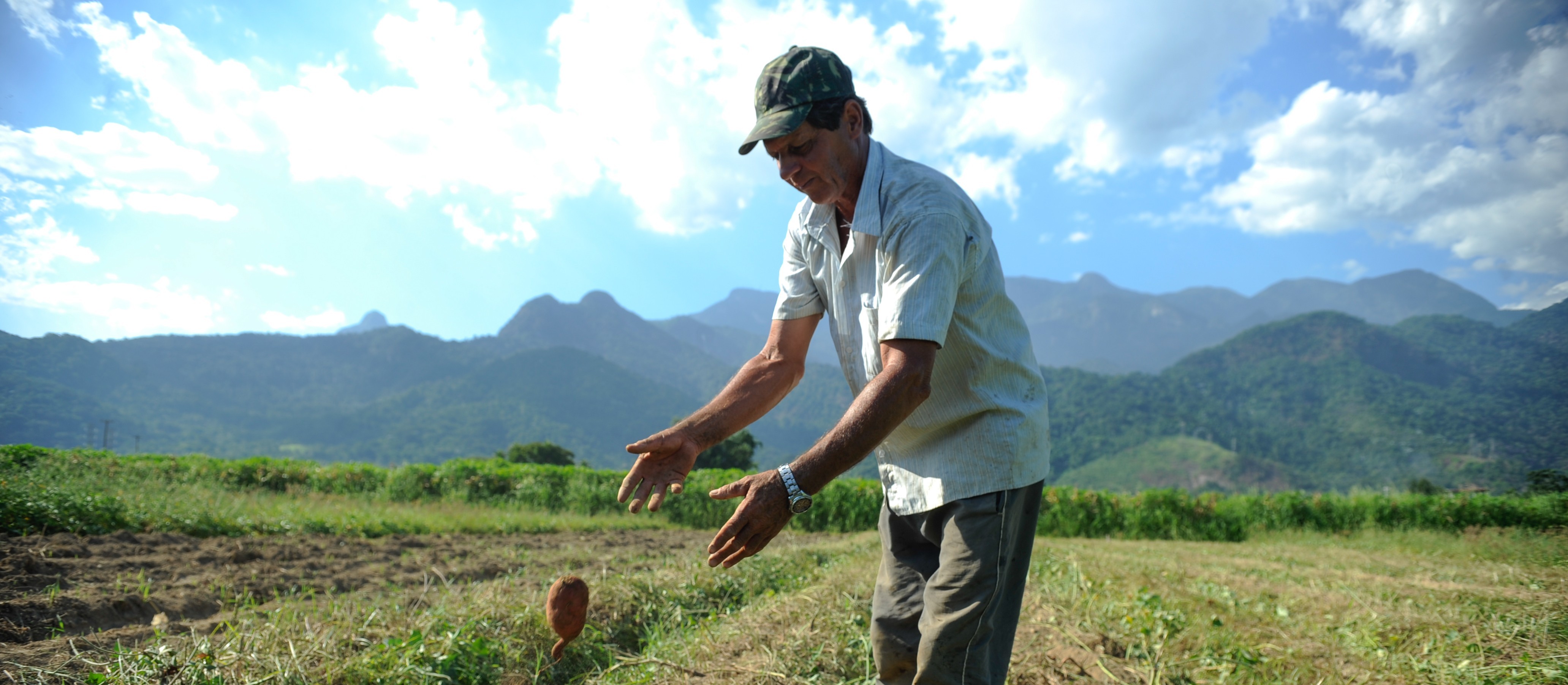 Dia do Agricultor é celebrado neste dia 28 de julho