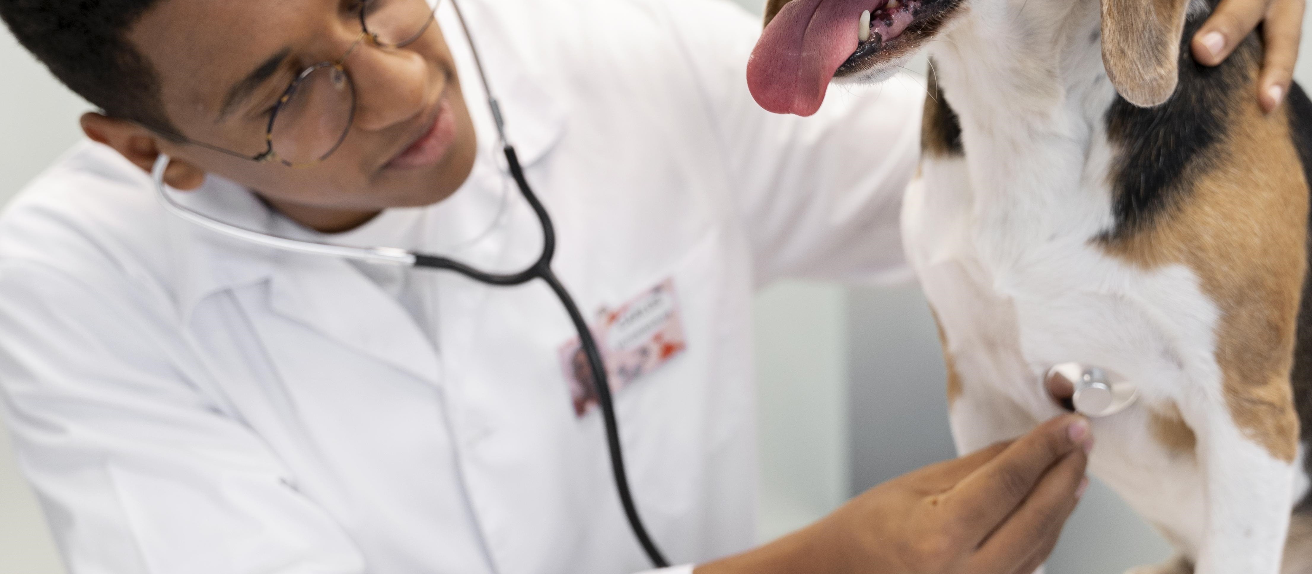 60% dos acadêmicos de veterinária querem abrir a própria clínica