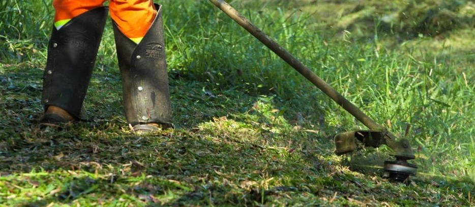 OSM pede impugnação da licitação de roçadas