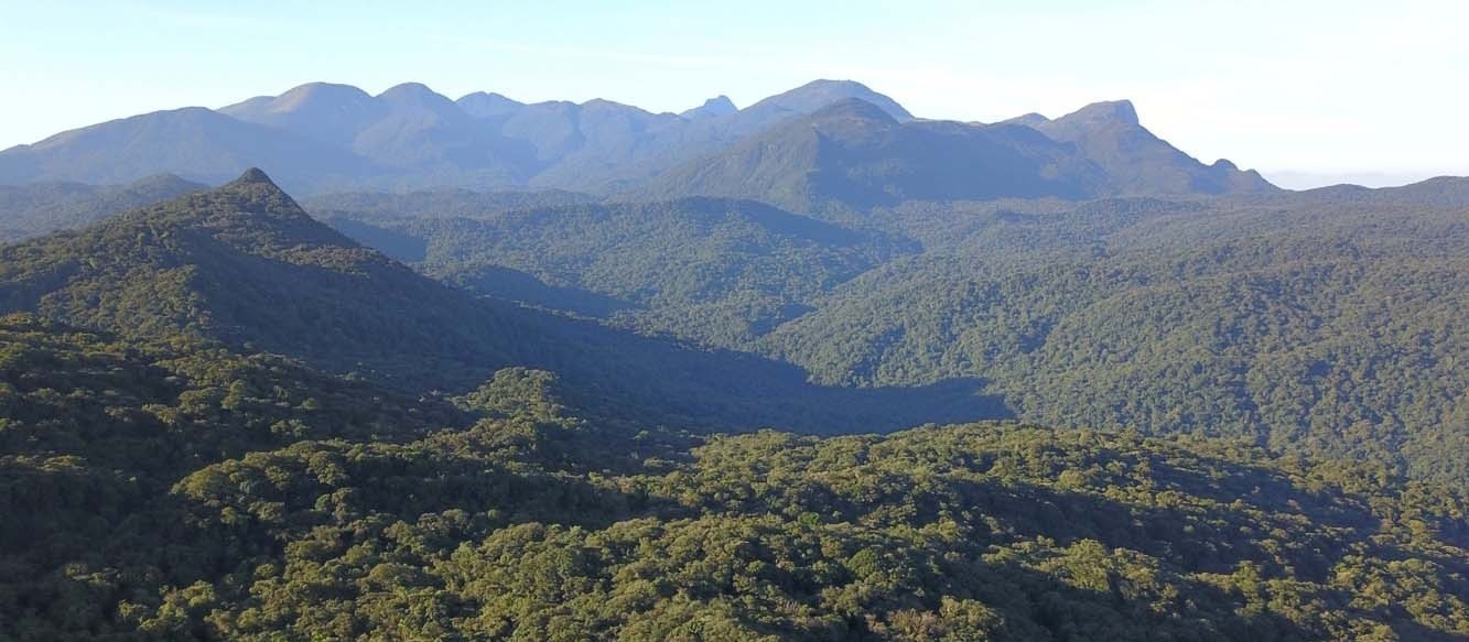 Retomadas as buscas por avião de Umuarama desaparecido próximo ao litoral