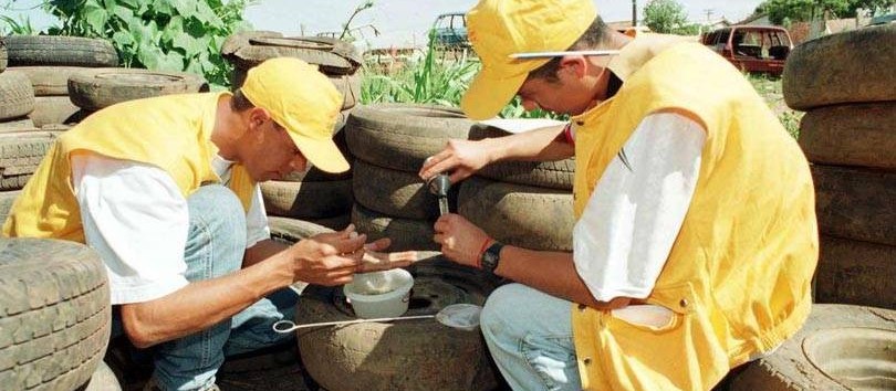 Maringá registra a primeira morte por dengue do período epidemiológico