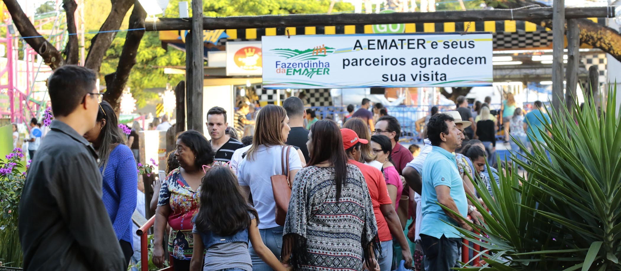 Secretaria da Agricultura realiza eventos técnicos durante a Expoingá